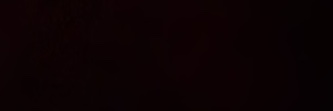 lian banner