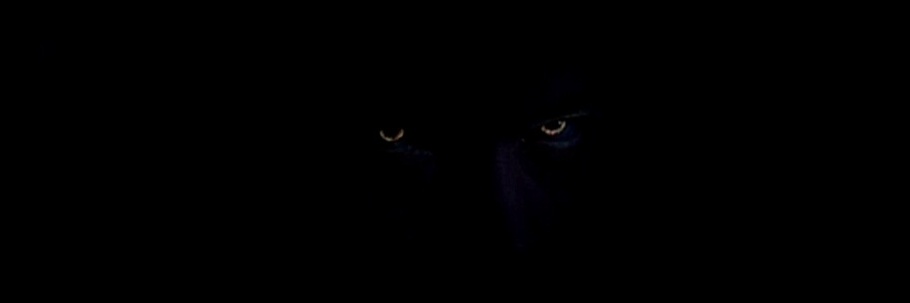 Adrian Noctis banner