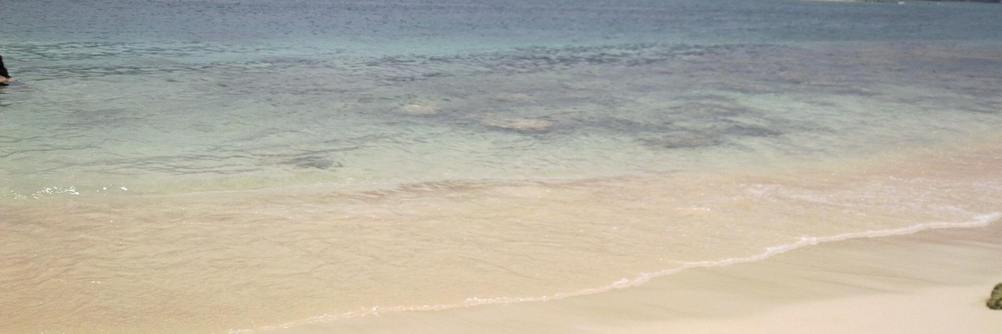 mampitre's profile banner image