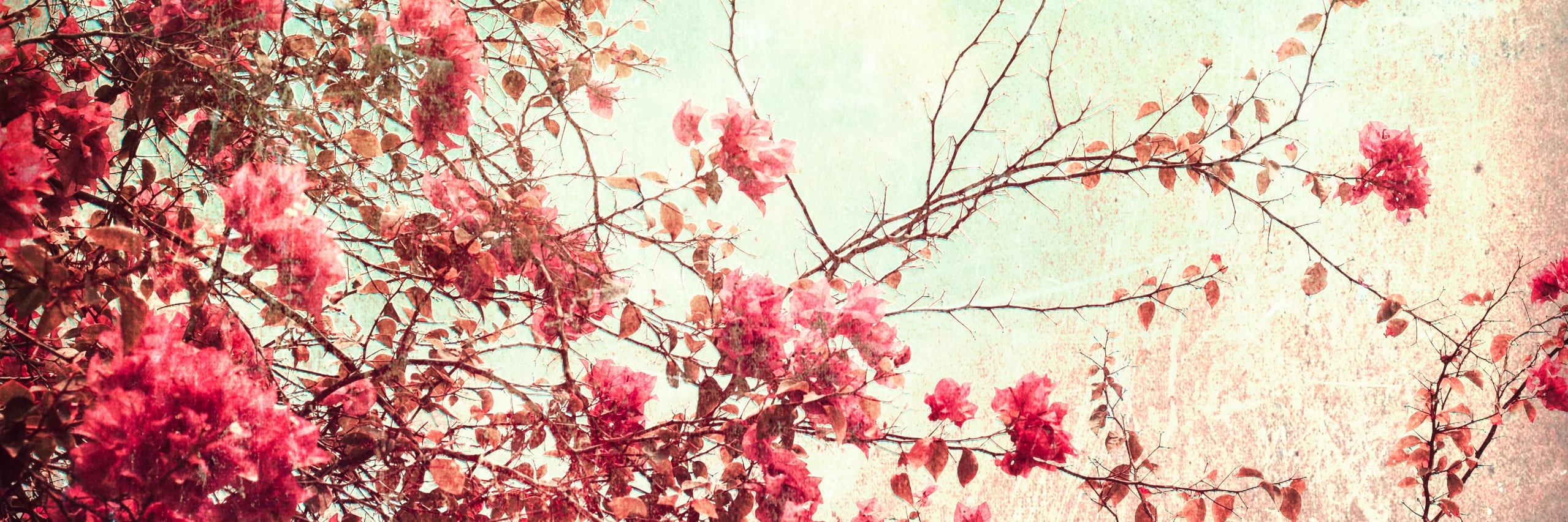 Kevin_Mansilla's profile banner image