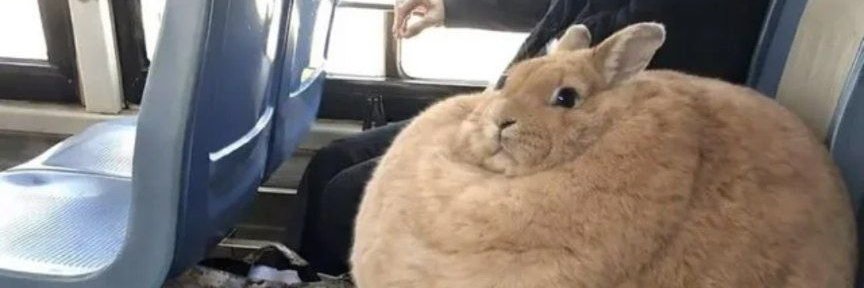 Austin working🚀 banner