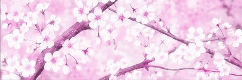 𝑷𝒆𝒂𝒄𝒉 ᥫ᭡. banner