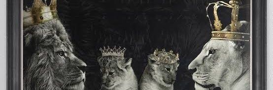 Masandi_King's profile banner image