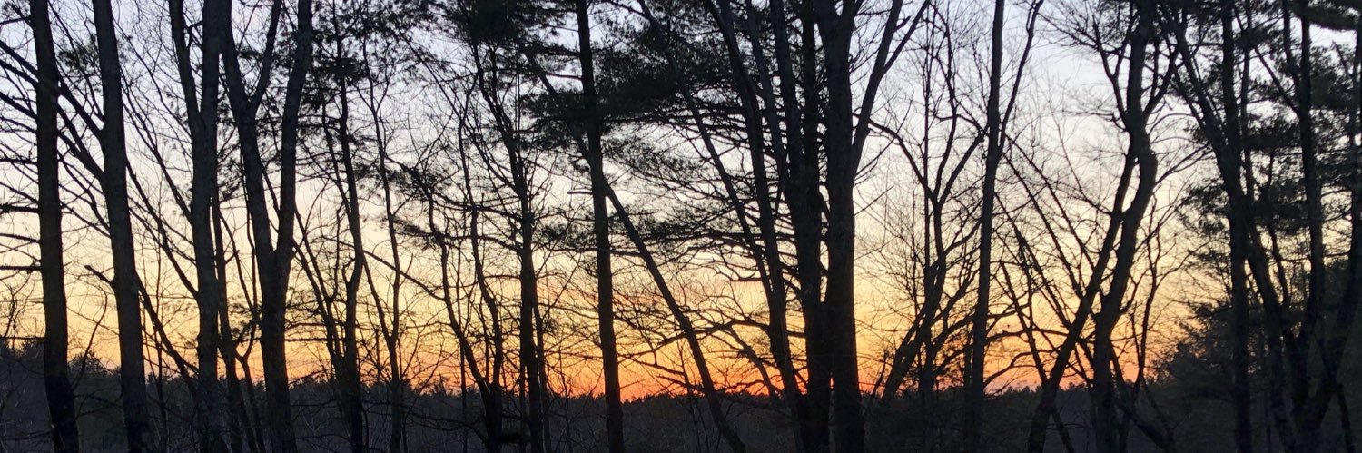 pfkelley's profile banner image