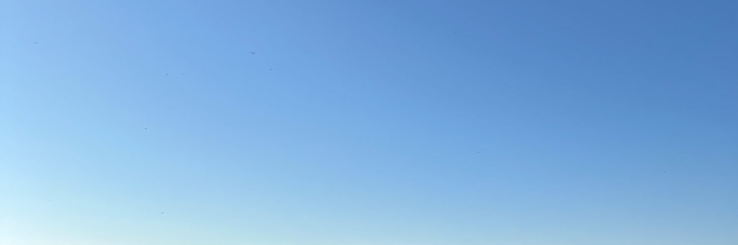 ぱへ banner