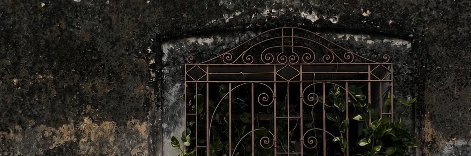 vesynne's profile banner image