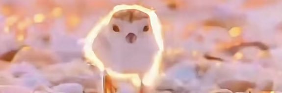 Pick👊顶尖（新号） banner