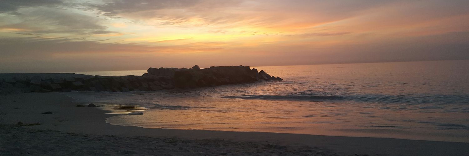 BeeBemi's profile banner image
