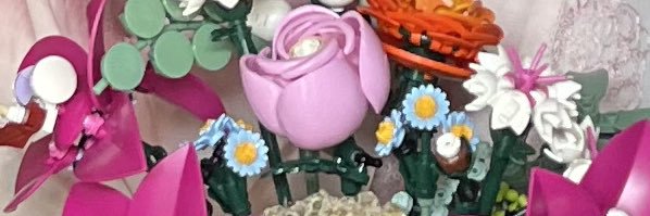 cheri banner