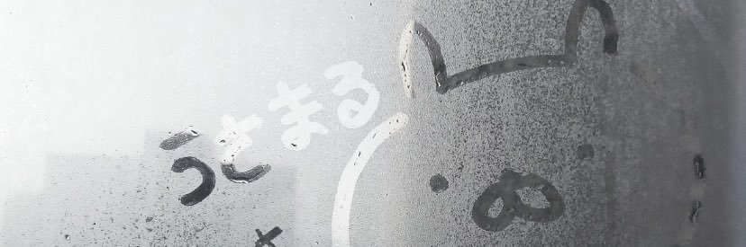 Lin banner
