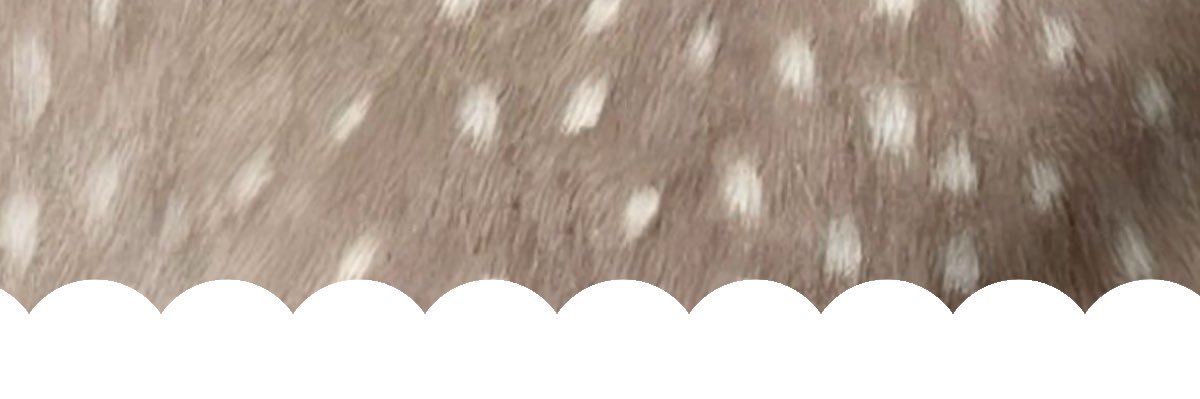 b banner