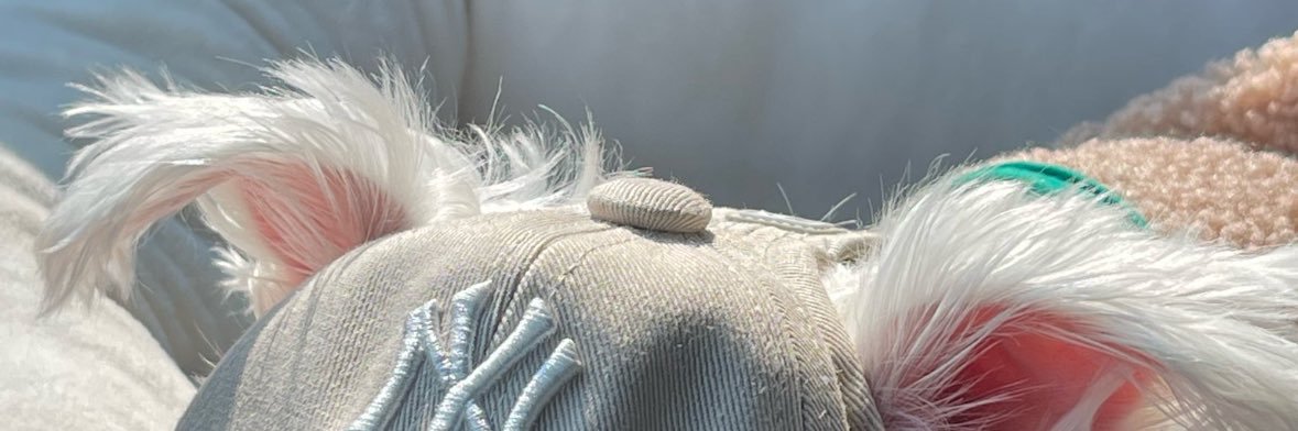 midorinoi's profile banner image