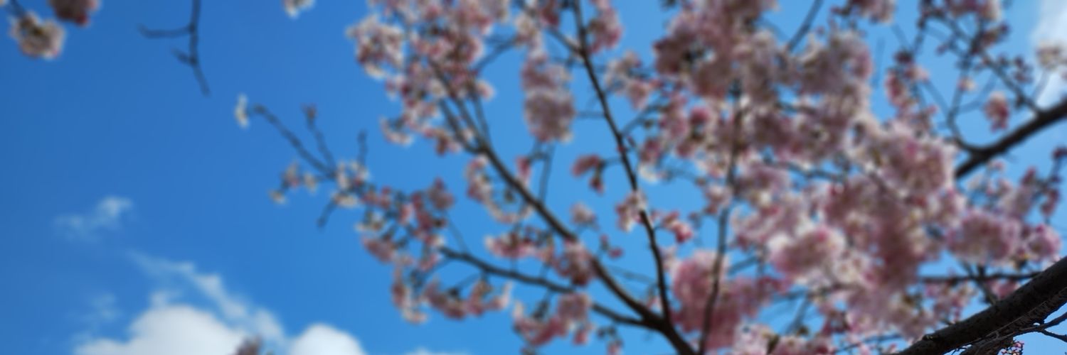 残業ゼロの人⁠|定時で帰る仕事術 banner