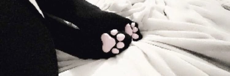 dolly86sd's profile banner image