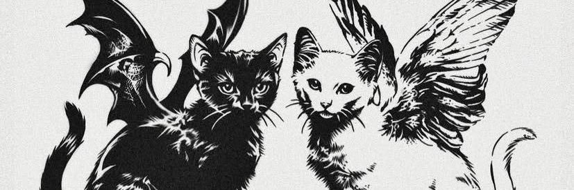 Hyun | -22.55/33kg banner