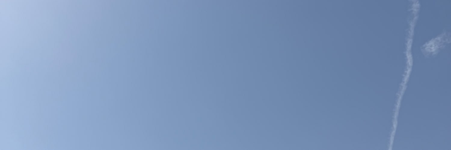 shakira banner