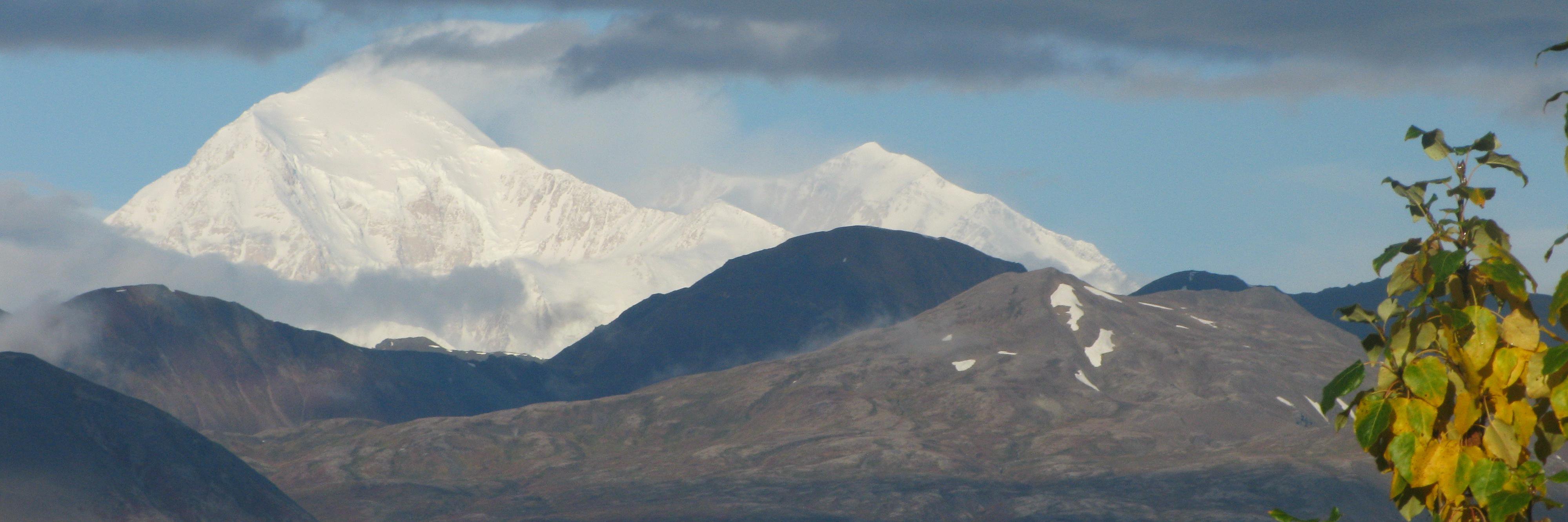 RDavidian's profile banner image
