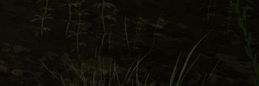 eylan banner