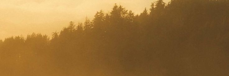 optilya10's profile banner image
