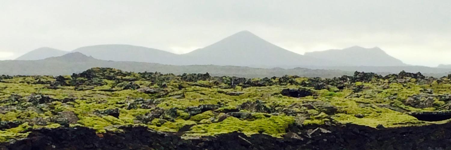alexnield's profile banner image