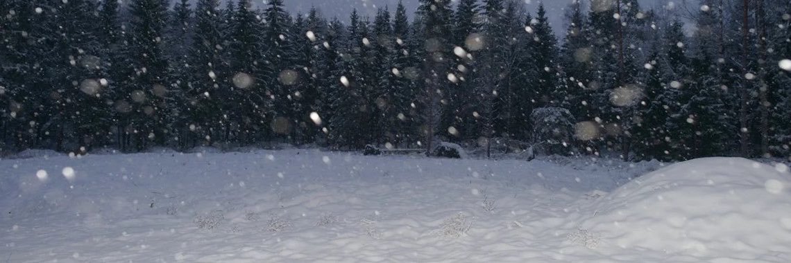 stellynx_exe's profile banner image
