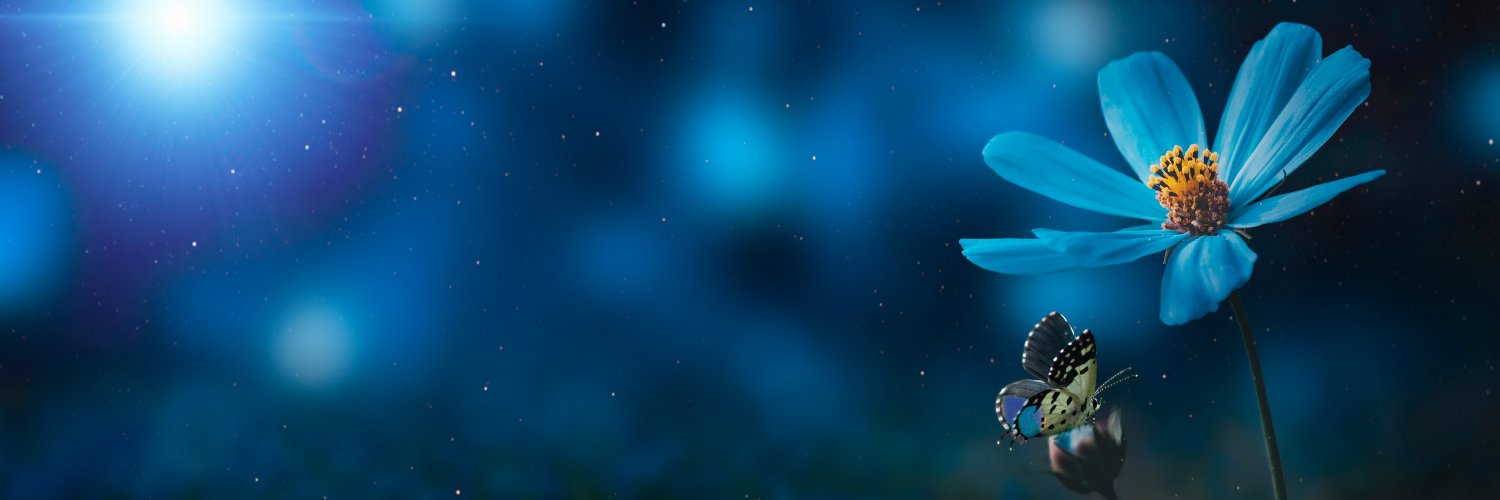 Mandy banner
