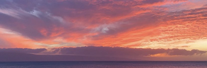 prettytoes's profile banner image