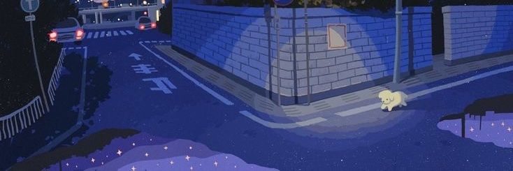 NeloferXO banner