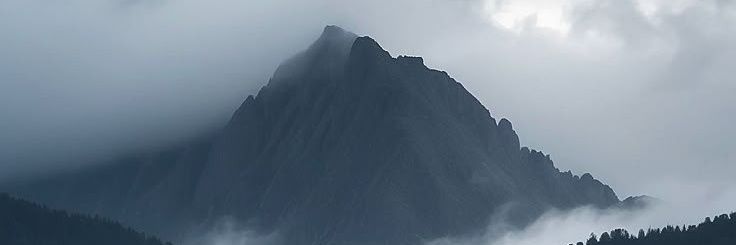 zehdso banner