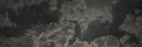 no one banner
