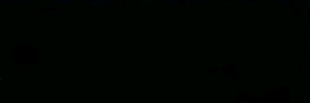 🦦 banner