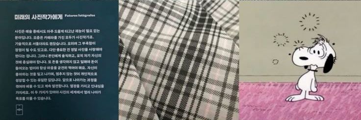 lia: jasa desain banner