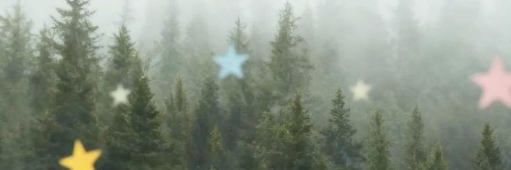 noelle✨ banner