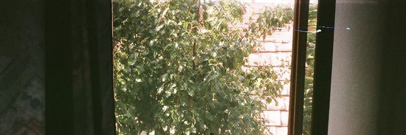 𝗰𝗵𝗲𝗹²⁷ banner