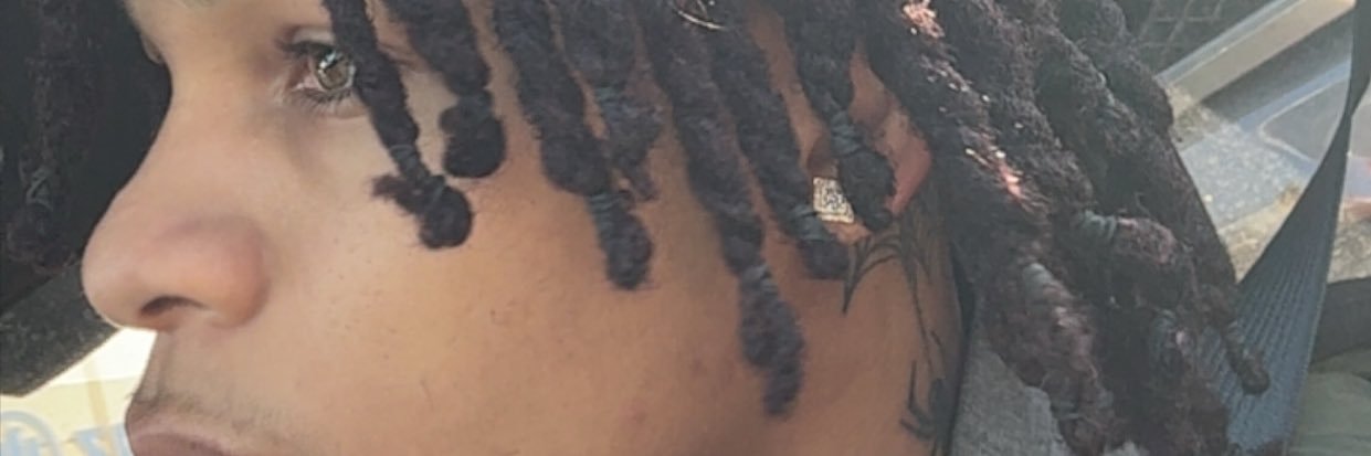 🦈 banner