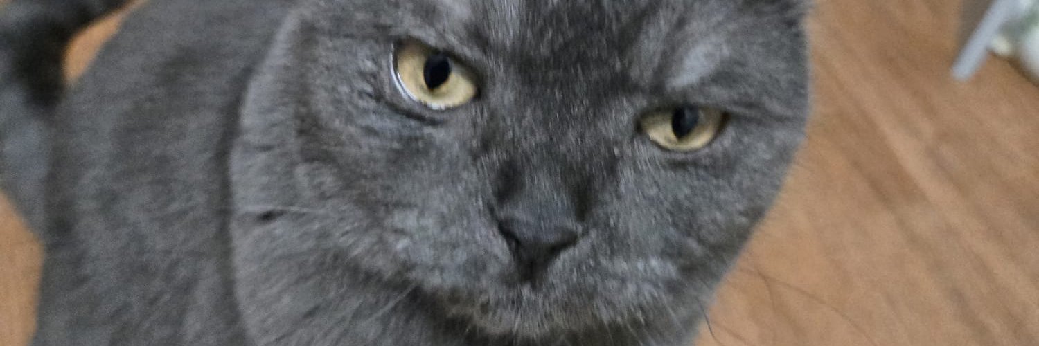 CatBananaStyle🐱switch 2 10% funded! banner