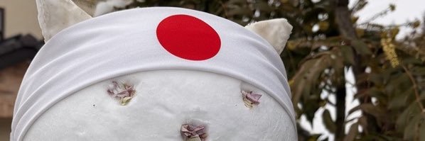 rmtolly's profile banner image