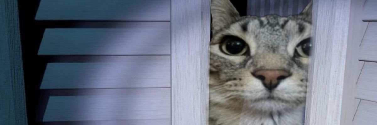 Noru_bu's profile banner image