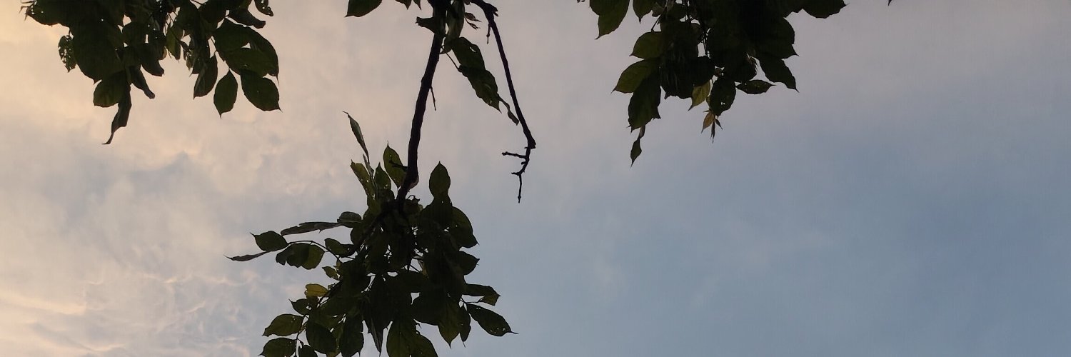 ham_sa22898's profile banner image