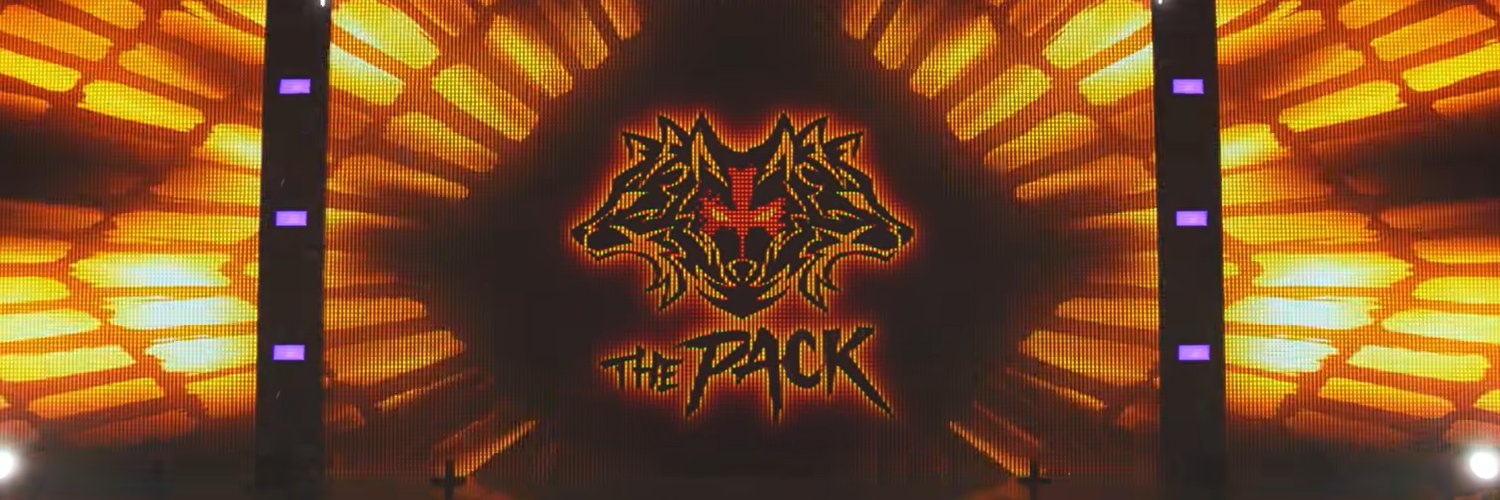 brninghammer's profile banner image