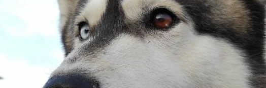 BeickyD's profile banner image