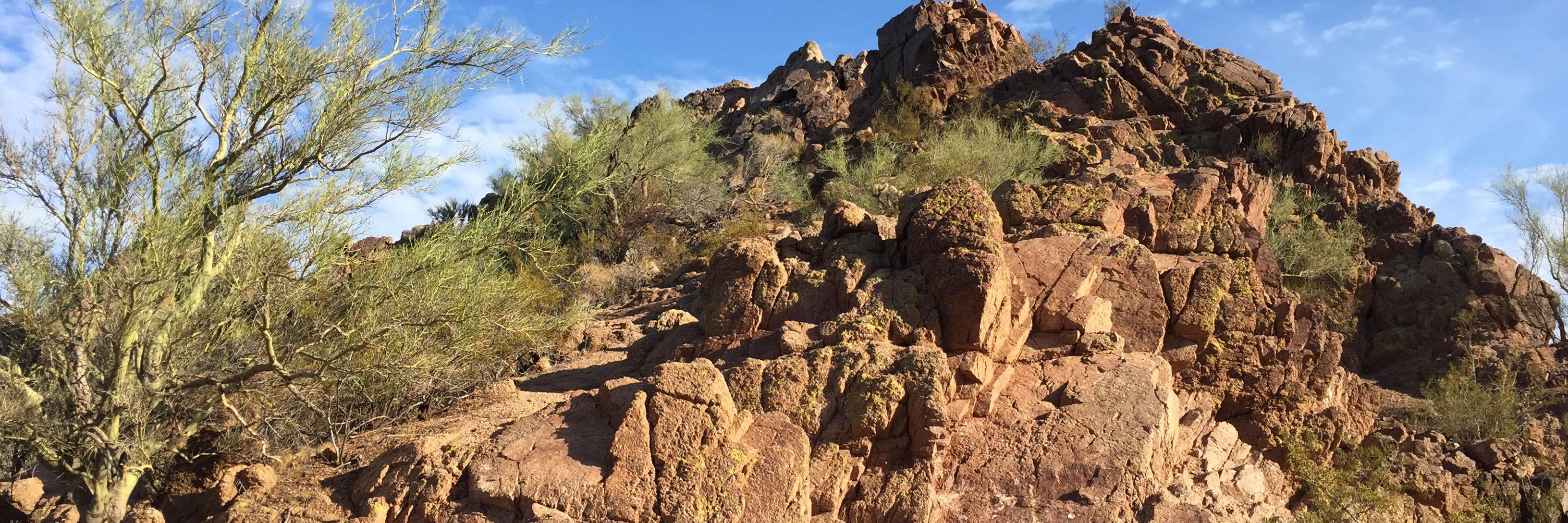 Eddie Marathon banner