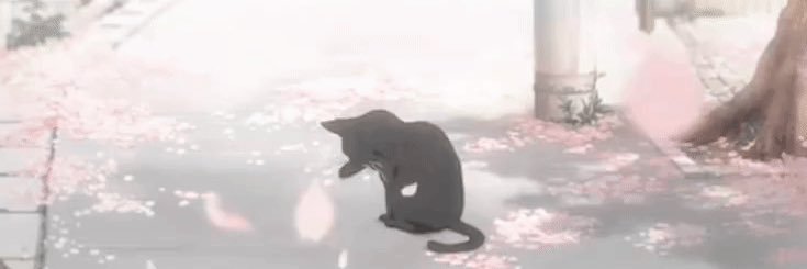 🐾iwuvkittys🧸 banner