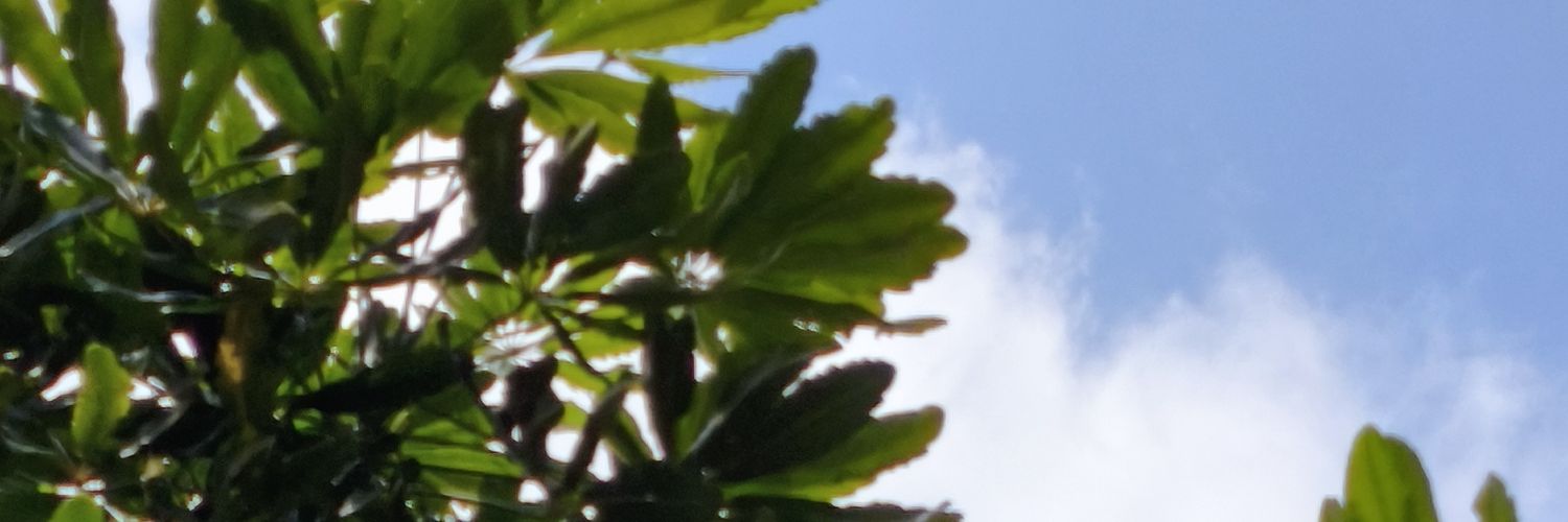 Varovite_'s profile banner image
