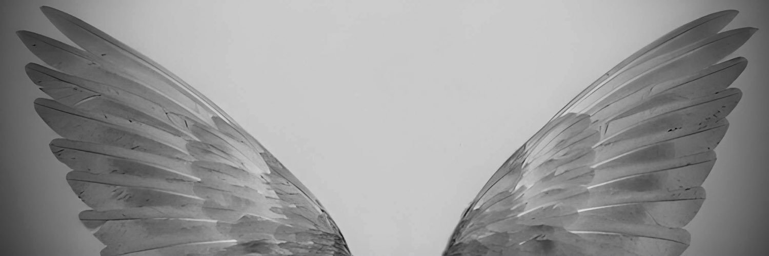 lizonluna's profile banner image