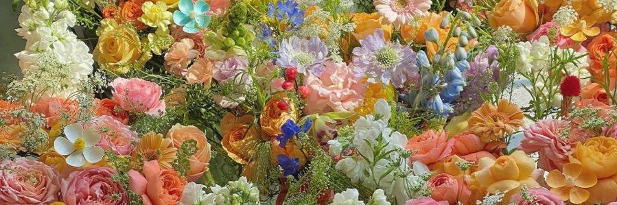 𝓔𝓭𝓲𝓽𝓱 banner