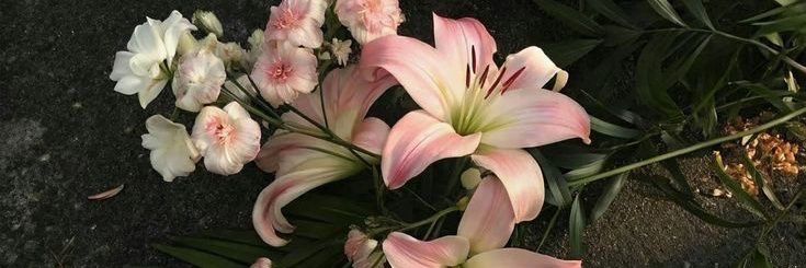 moonrgs. 🩺 banner