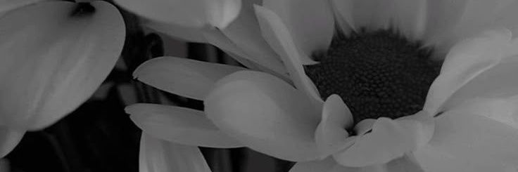 odil_bd13's profile banner image