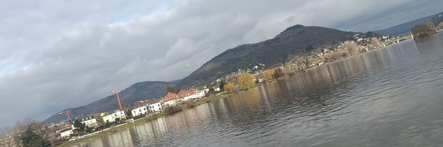 Sveni banner