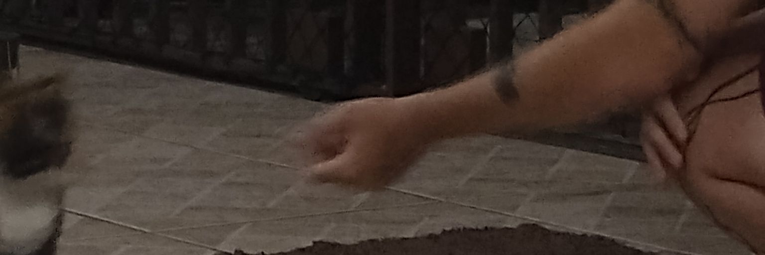 fafafafafafafafafaqf banner